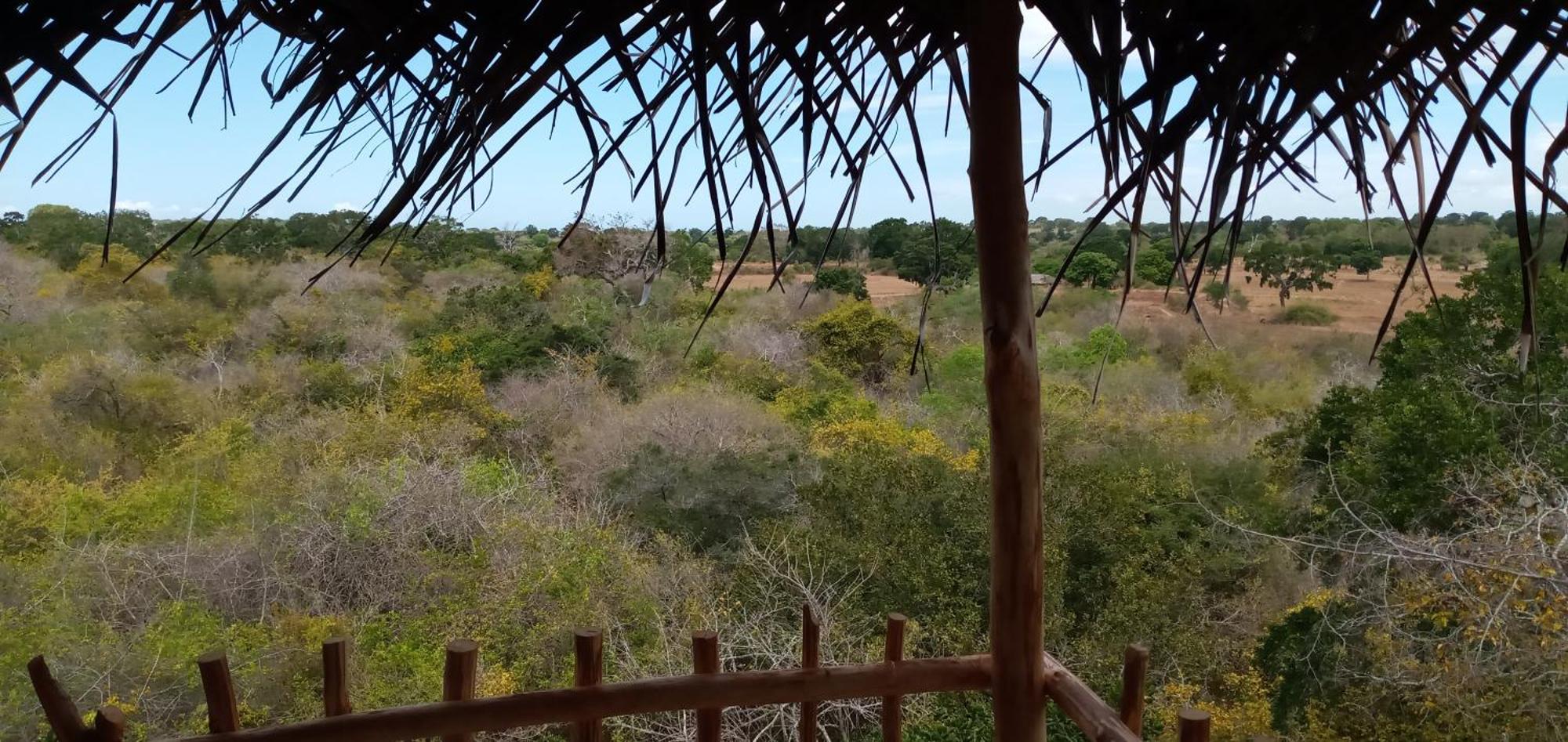 Mamba Yala Hotel ทิซซามาฮารามา ภายนอก รูปภาพ