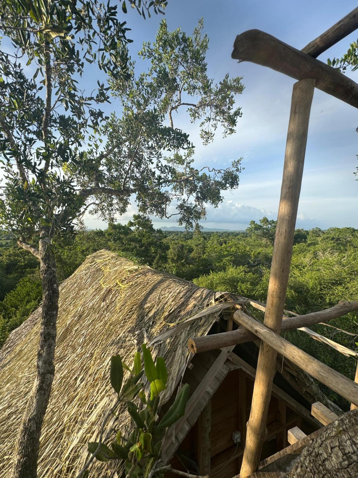 Mamba Yala Hotel ทิซซามาฮารามา ภายนอก รูปภาพ